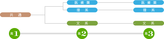 コース分け