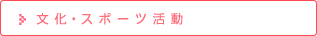 文化・スポーツ活動