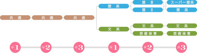 コース分け