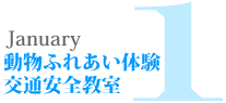 1月|動物ふれあい体験/安全教室