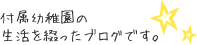 光の子ブログ