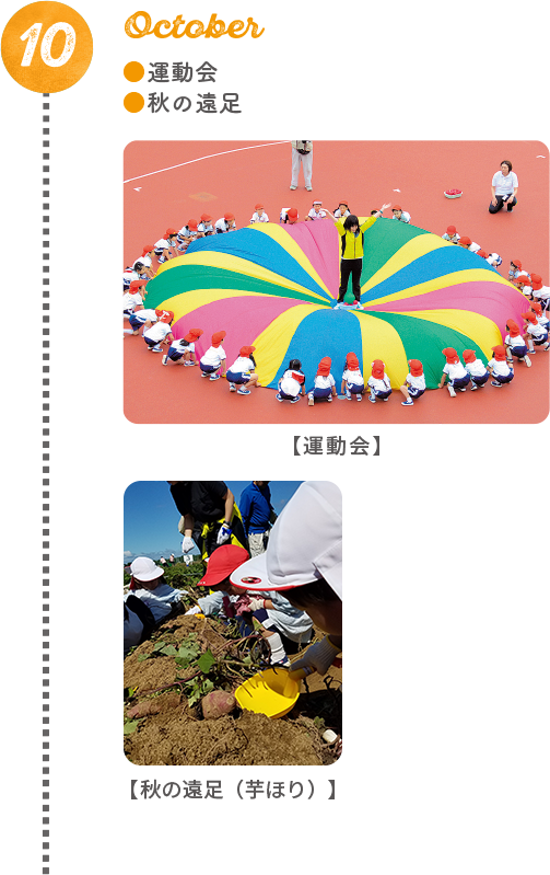 運動会/秋の遠足